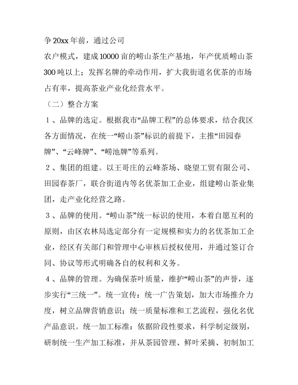 品牌整合实施方案_第3页