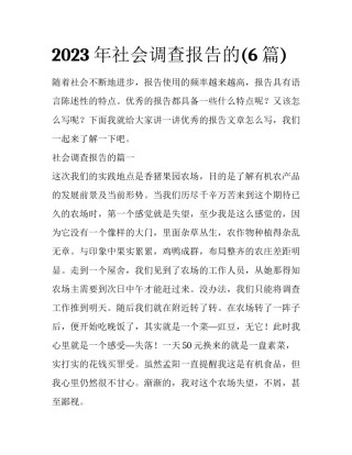 2023年社会调查报告的(6篇)