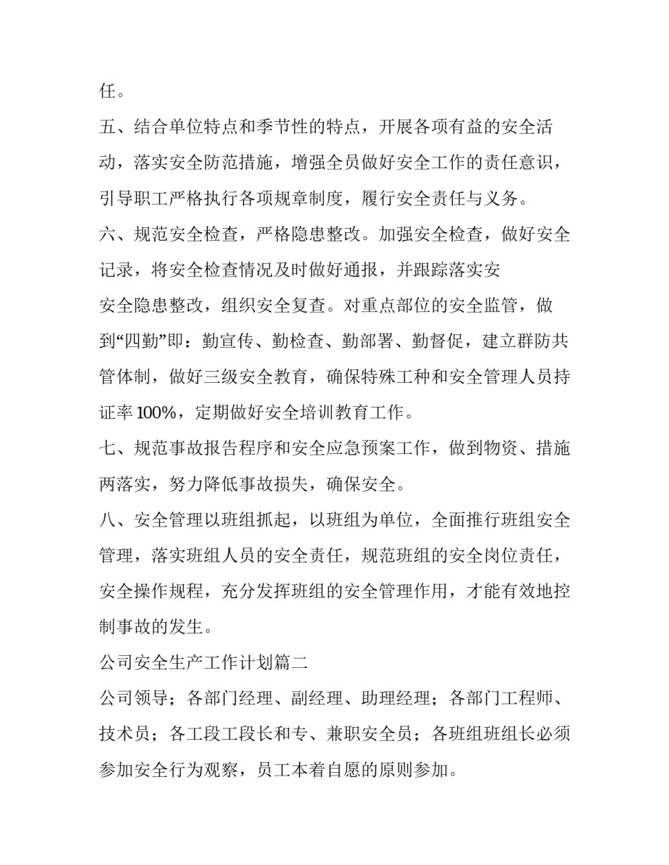 最新公司安全生产工作计划(8篇)_第2页
