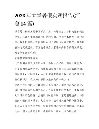 2023年大学暑假实践报告(汇总14篇)