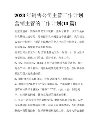 2023年销售公司主管工作计划 营销主管的工作计划(13篇)