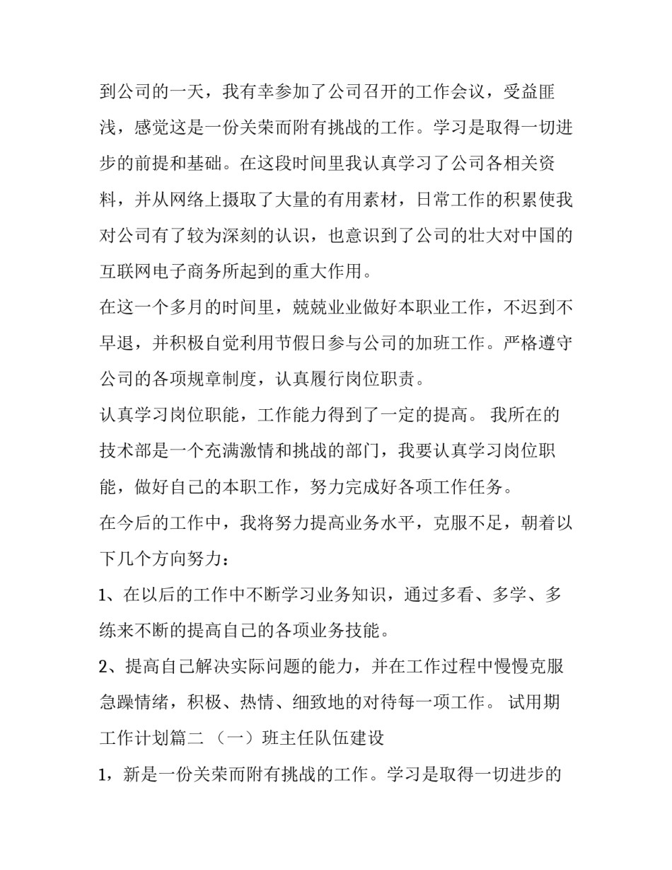 2023年试用期工作计划(优秀10篇)_第2页
