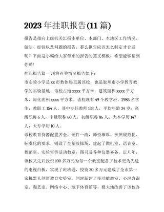 2023年挂职报告(11篇)