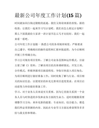 最新公司年度工作计划(15篇)