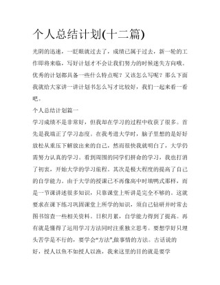个人总结计划(十二篇)