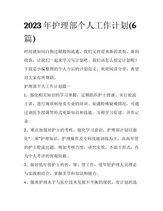 2023年护理部个人工作计划(6篇)