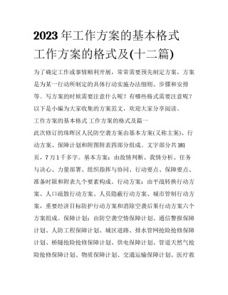 2023年工作方案的基本格式 工作方案的格式及(十二篇)
