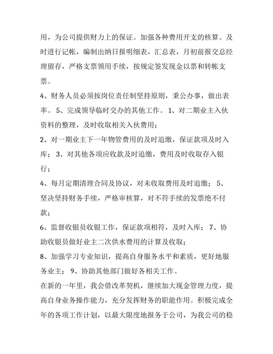 2023年出纳工作计划 房产公司出纳工作计划(七篇)_第2页