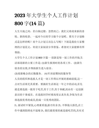 2023年大学生个人工作计划800字(14篇)