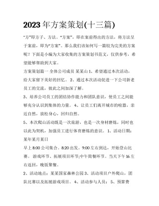 2023年方案策划(十三篇)