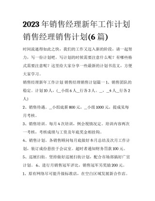 2023年销售经理新年工作计划 销售经理销售计划(6篇)