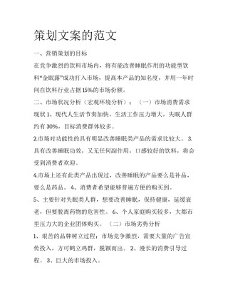 策划文案的范文