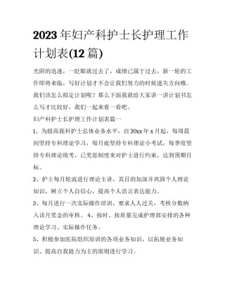 2023年妇产科护士长护理工作计划表(12篇)