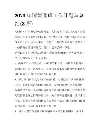 2023年销售助理工作计划与总结(3篇)