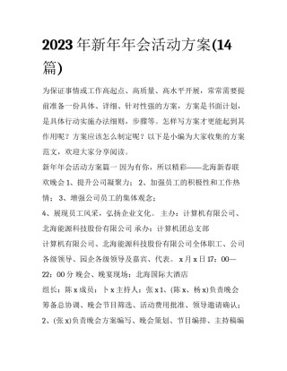 2023年新年年会活动方案(14篇)