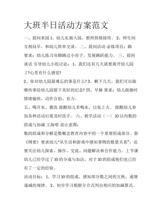 大班半日活动方案范文