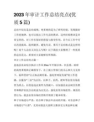 2023年审计工作总结亮点(优质5篇)