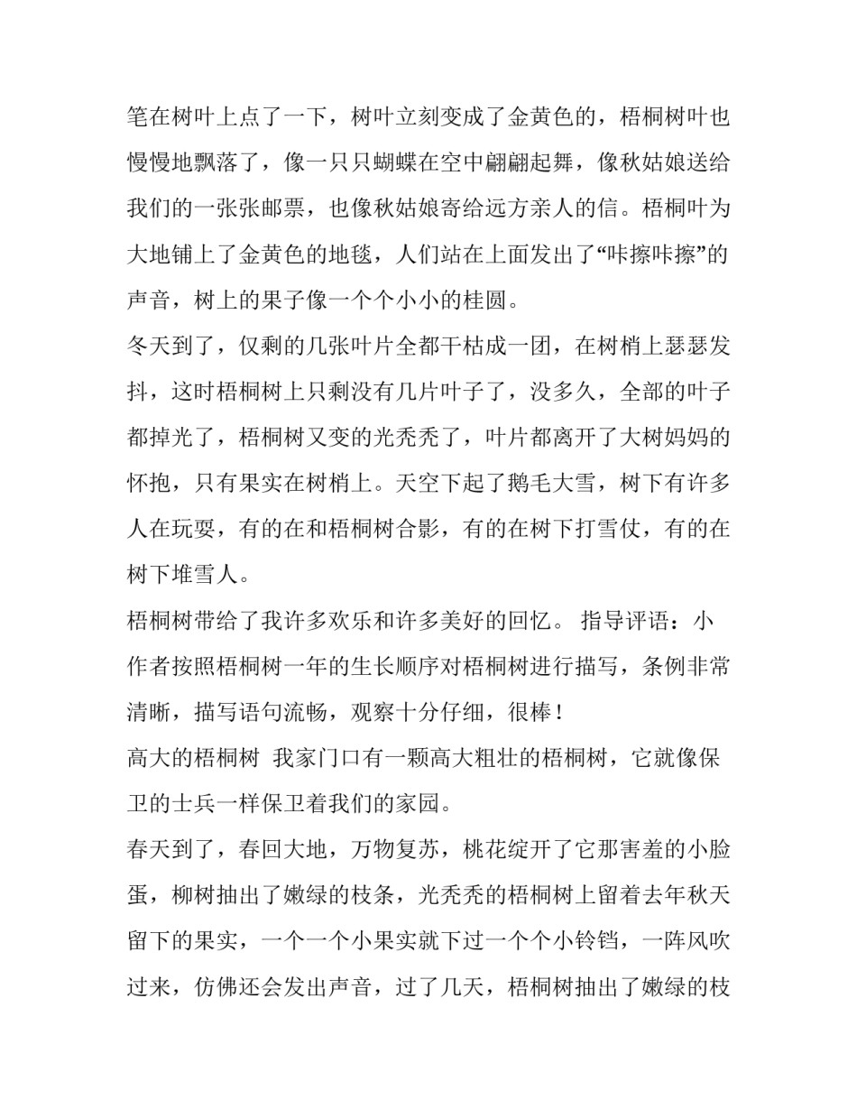 关于家门口的梧桐树的作文_第3页
