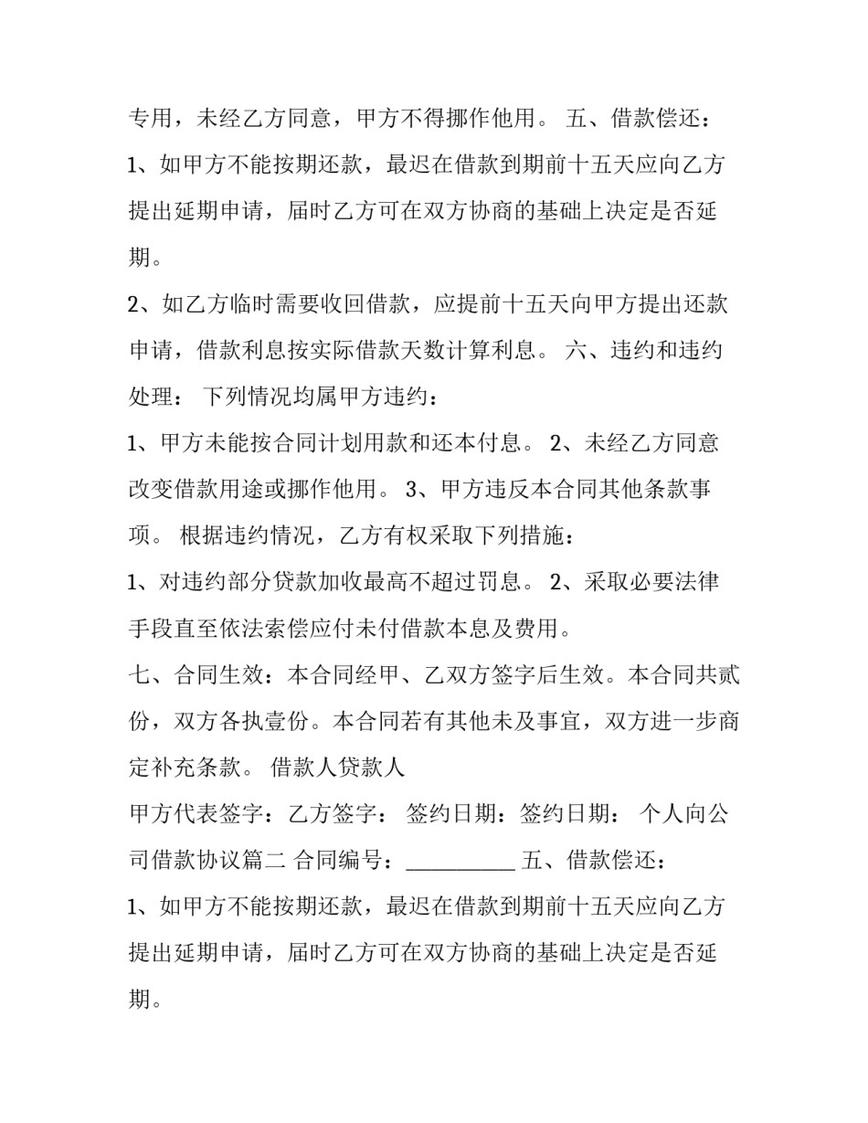 最新个人向公司借款协议(23篇)_第2页