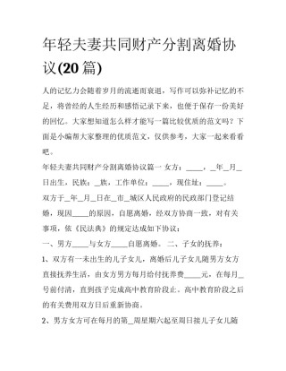 年轻夫妻共同财产分割离婚协议(20篇)