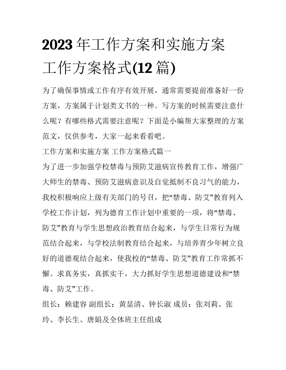 2023年工作方案和实施方案 工作方案格式(12篇)_第1页
