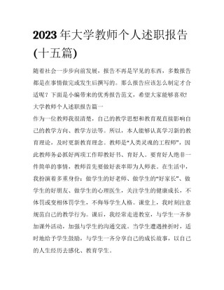 2023年大学教师个人述职报告(十五篇)