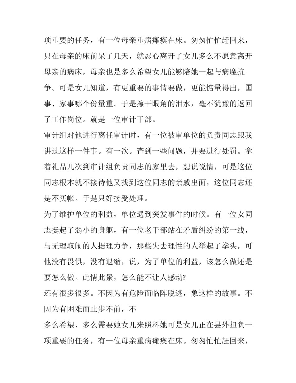 企业审计体系的演讲稿_第2页