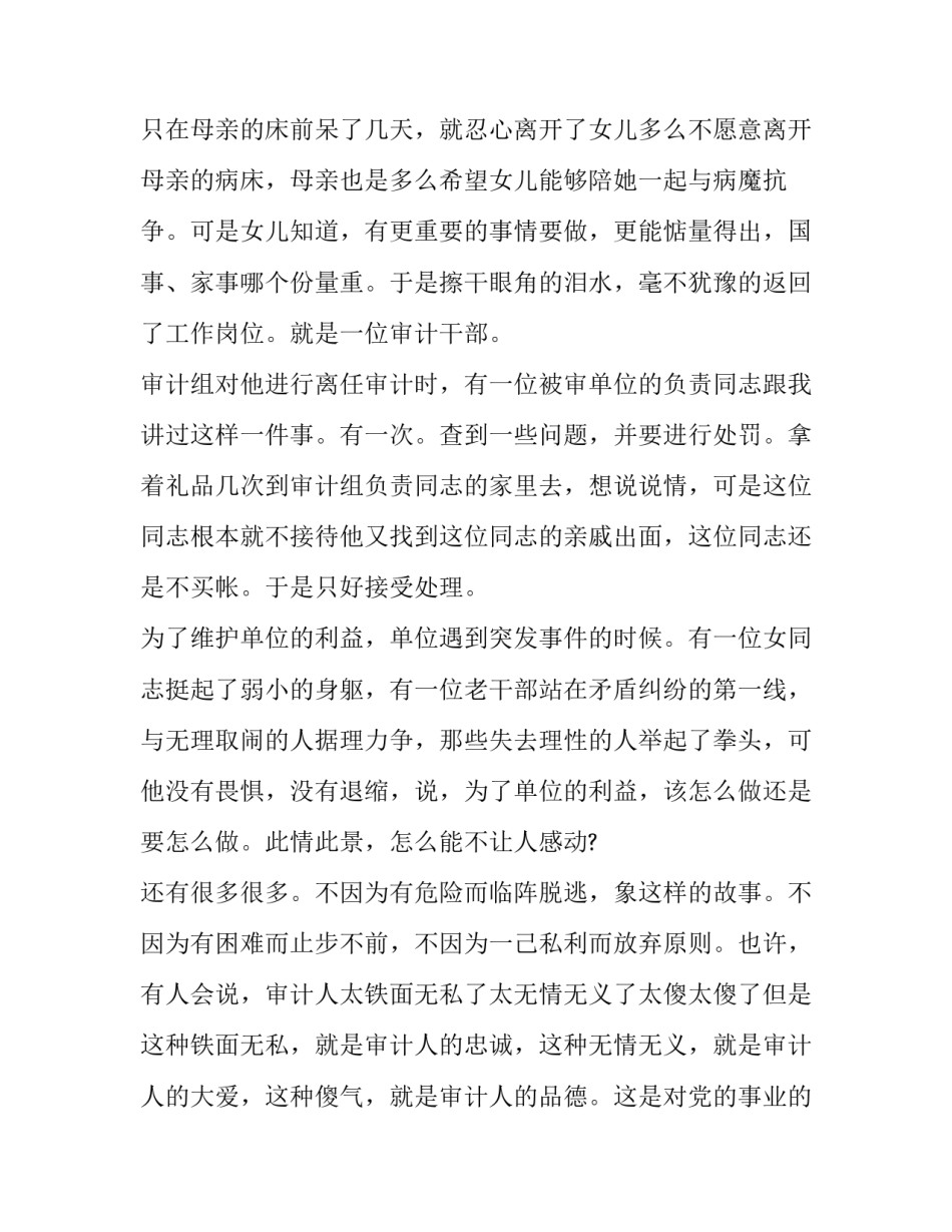 企业审计体系的演讲稿_第3页