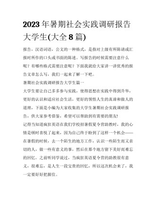 2023年暑期社会实践调研报告大学生(大全8篇)