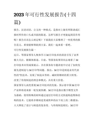 2023年可行性发展报告(十四篇)