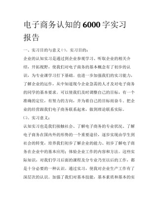 电子商务认知的6000字实习报告