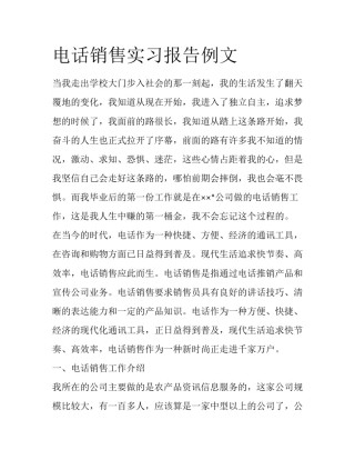 电话销售实习报告例文