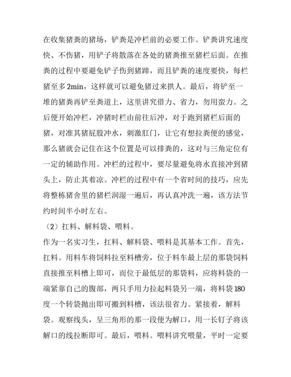 乳猪场社会实践报告_第3页