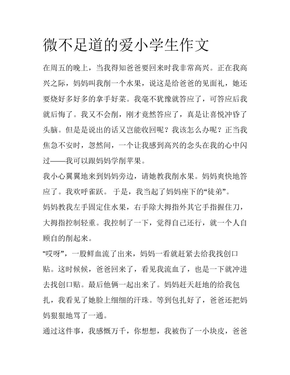 微不足道的爱小学生作文_第1页