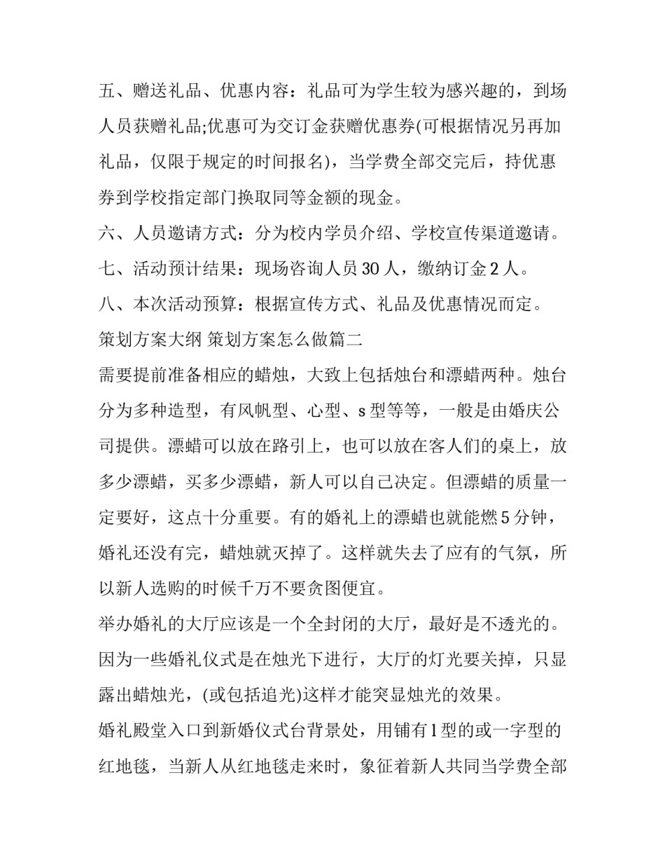 2023年策划方案大纲 策划方案怎么做(四篇)_第2页