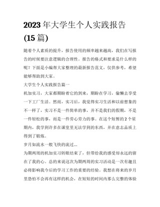 2023年大学生个人实践报告(15篇)