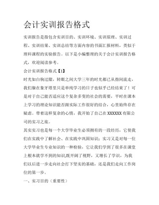 会计实训报告格式