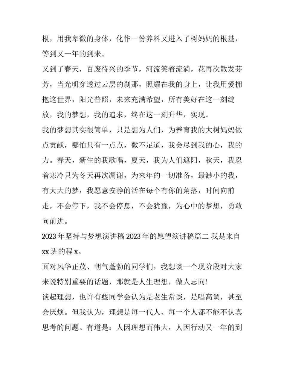 2023年坚持与梦想演讲稿 2023年的愿望演讲稿(3篇)_第2页
