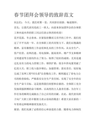 春节团拜会领导的致辞范文