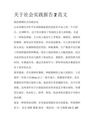 关于社会实践报告2范文