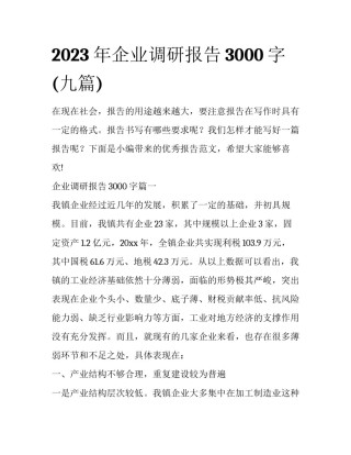 2023年企业调研报告3000字(九篇)