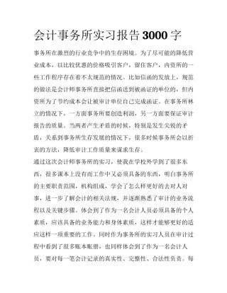 会计事务所实习报告3000字