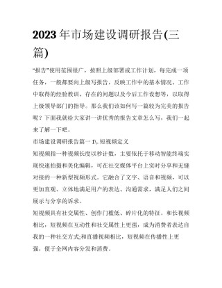 2023年市场建设调研报告(三篇)