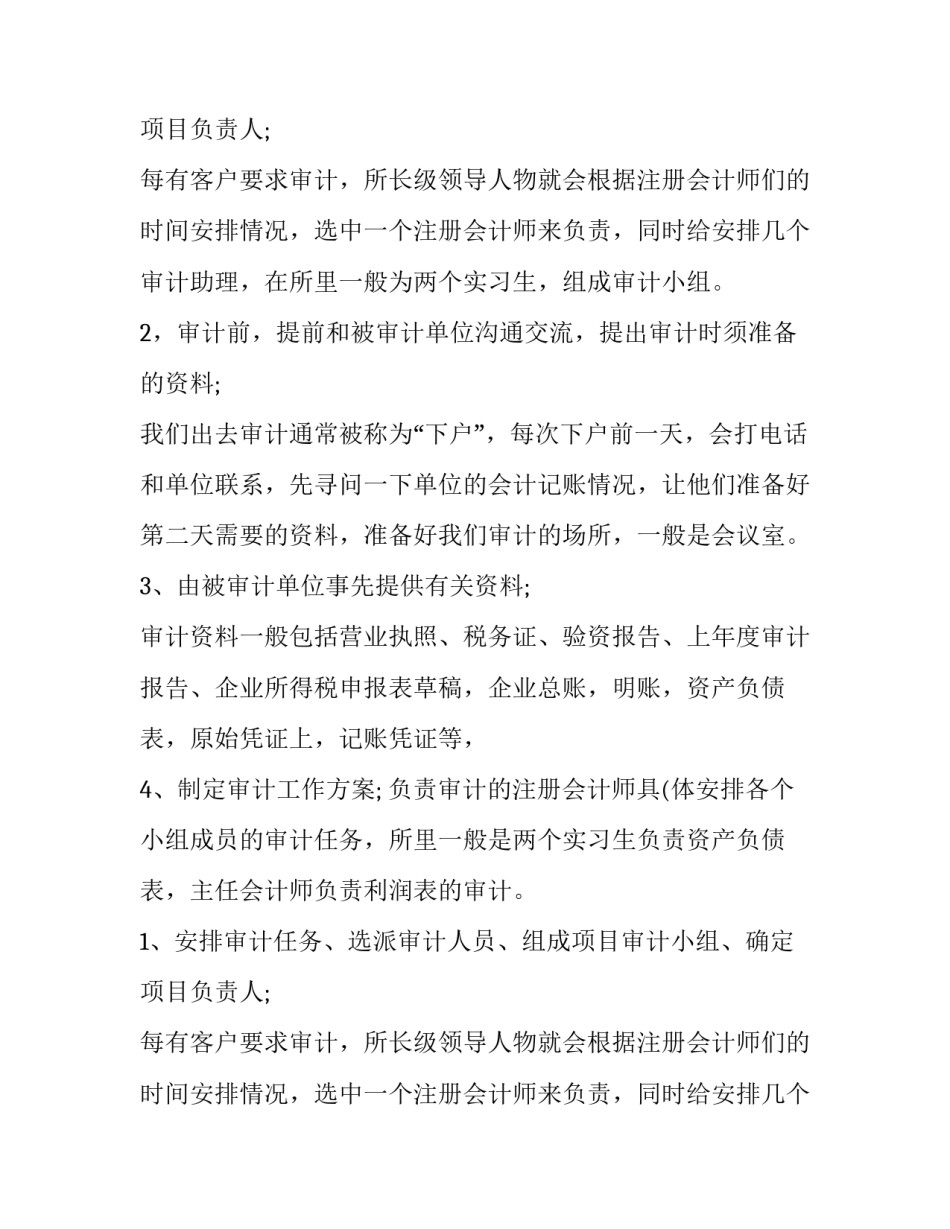 暑期审计实习报告_第2页