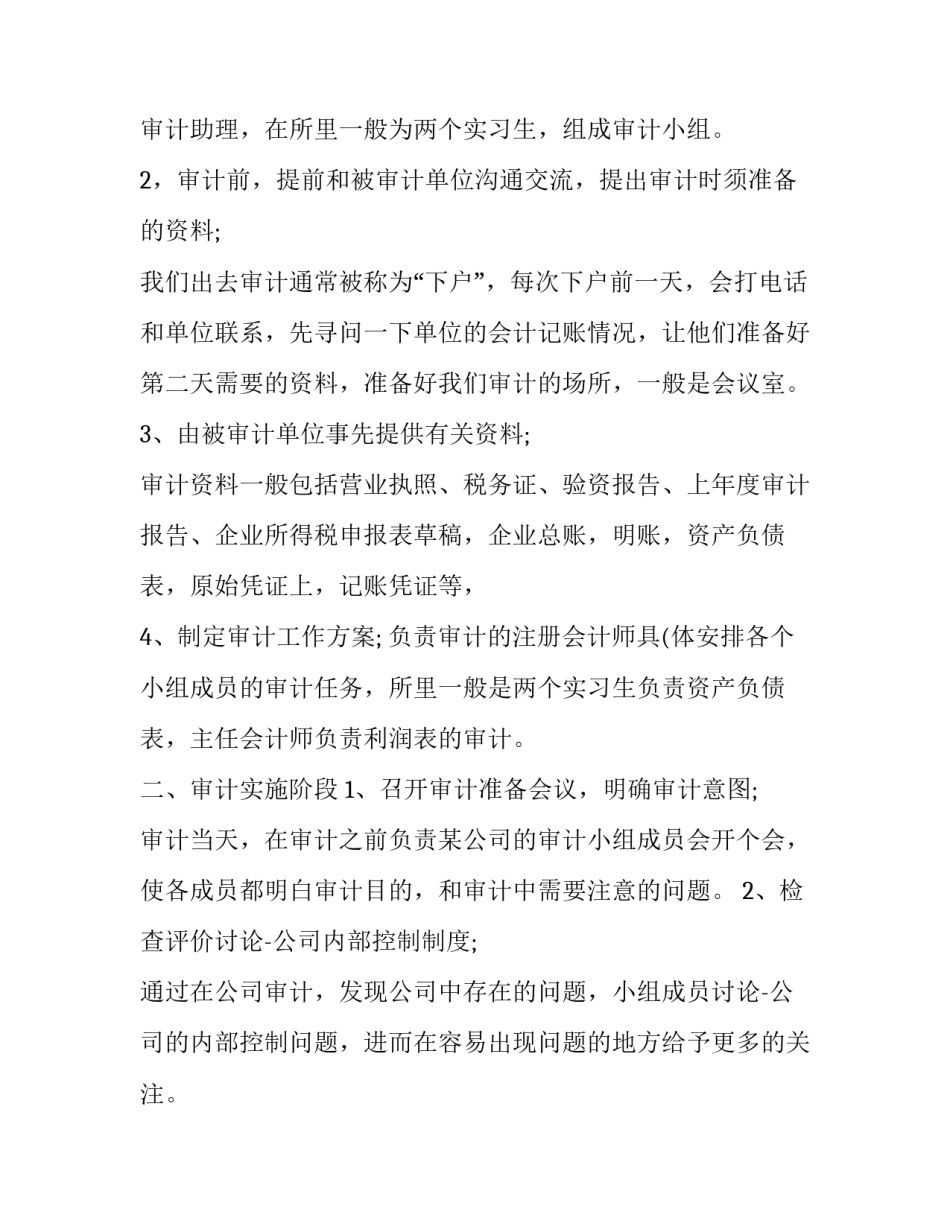 暑期审计实习报告_第3页