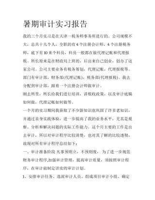 暑期审计实习报告