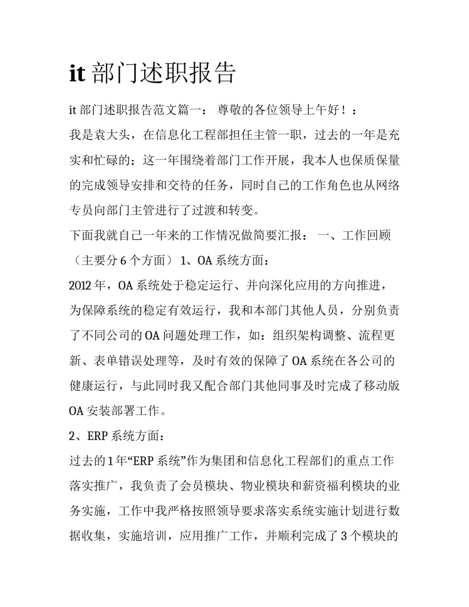 it部门述职报告_第1页