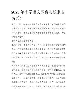 2023年小学语文教育实践报告(4篇)