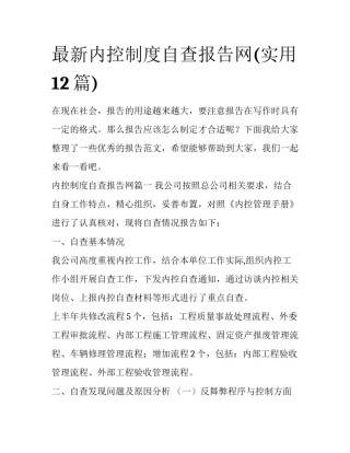 最新内控制度自查报告网(实用12篇)
