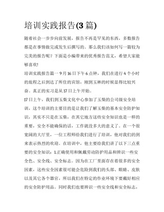 培训实践报告(3篇)